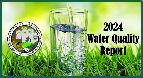 Water quality report